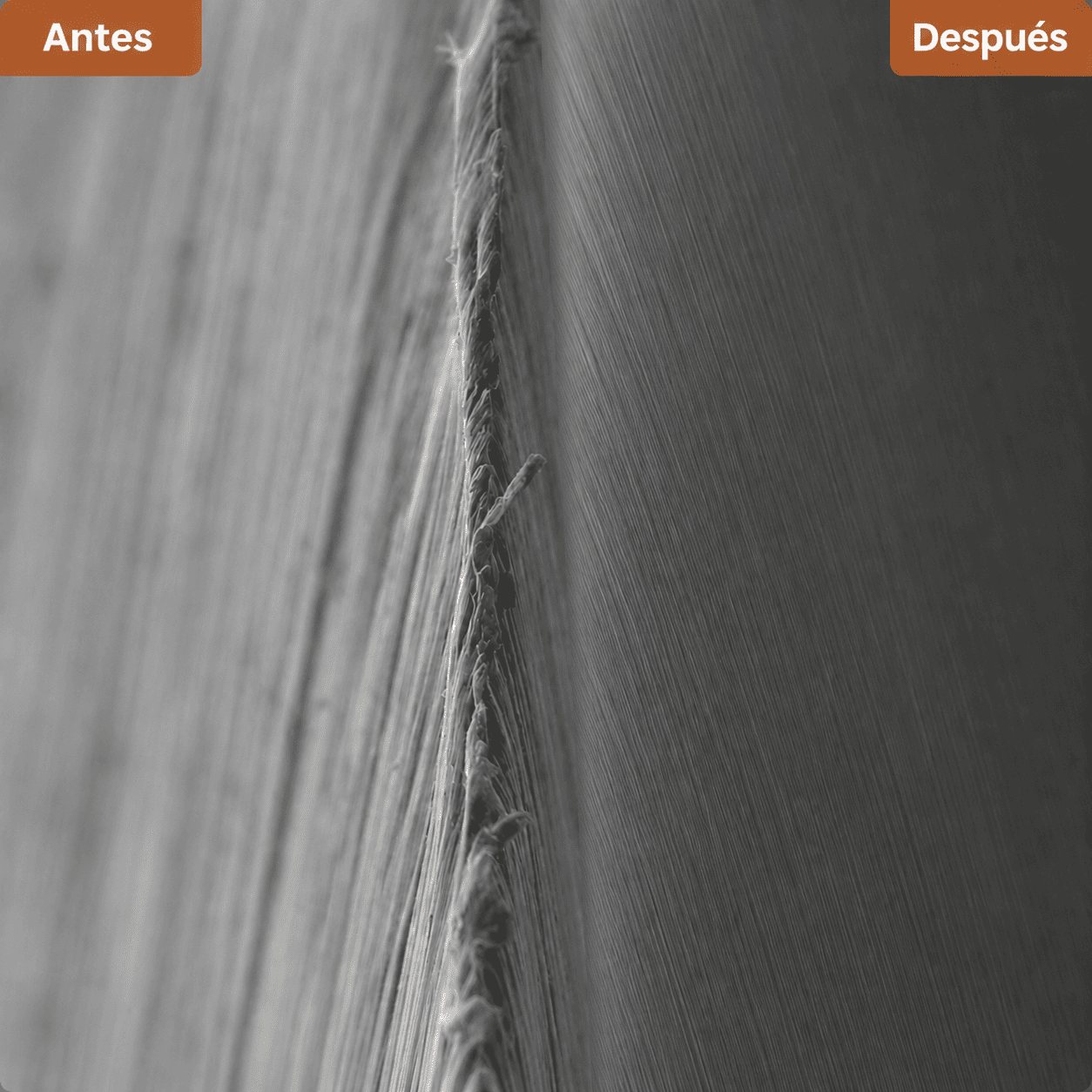 Antes