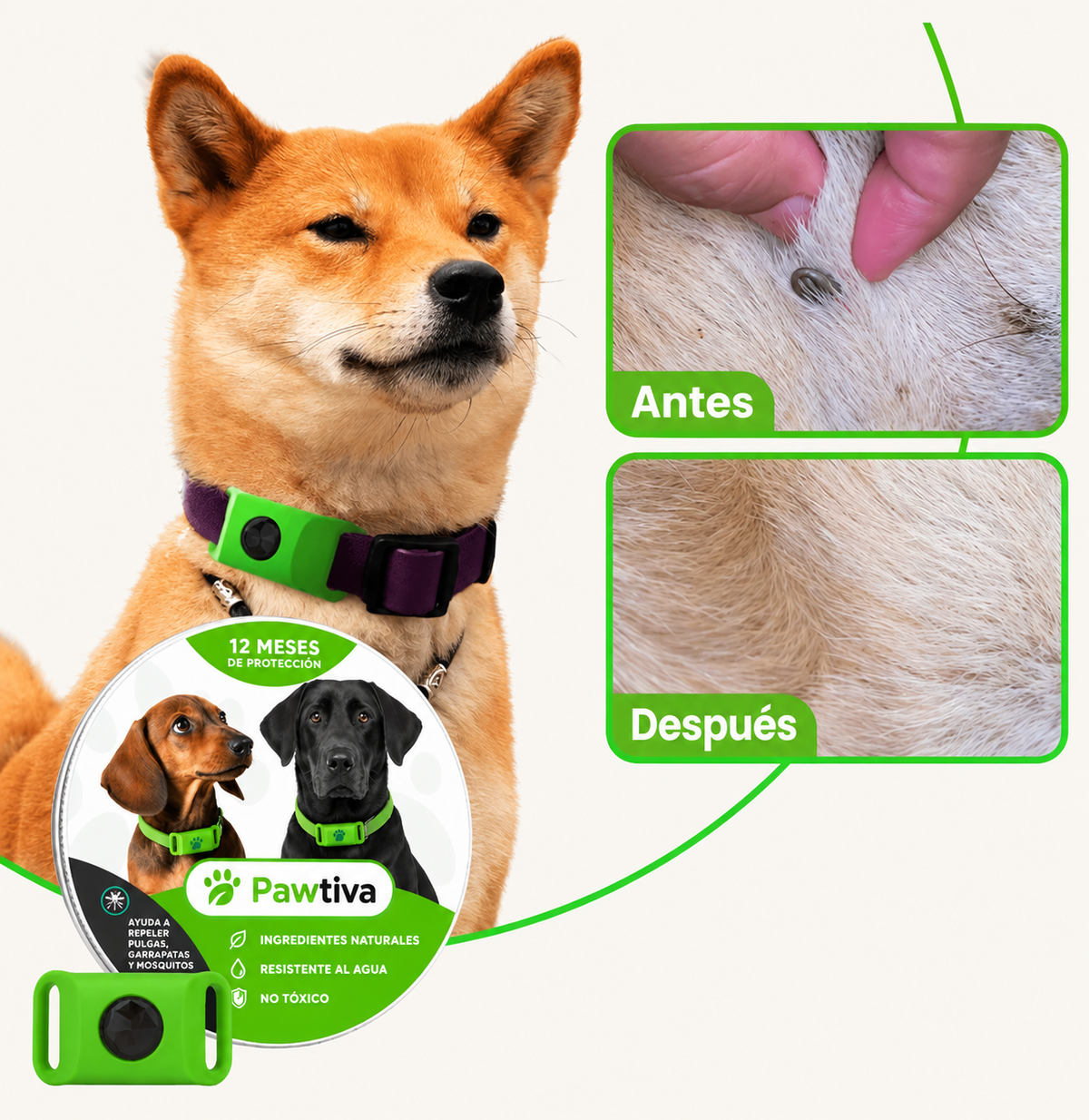 Pawtiva™ Protección Natural contra Pulgas y Garrapatas hasta por 12 Meses